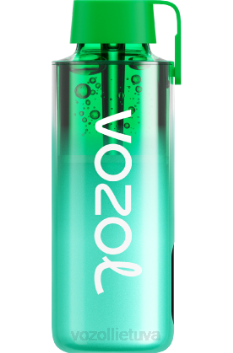 VOZOL NEON 10 000 Majamio mėtų 6LP4229 VOZOL Vape Sale