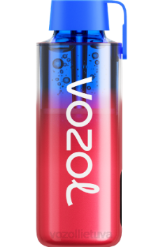 VOZOL NEON 10 000 šaldytų braškių kivių 6LP4227 VOZOL Vape Flavours