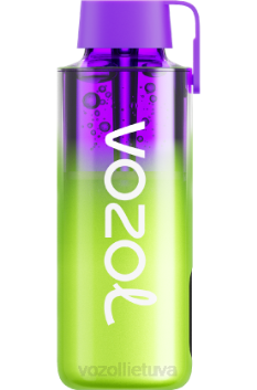 VOZOL NEON 10 000 avietinis arbūzas 6LP4237 VOZOL Vape Flavours