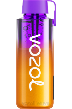 VOZOL NEON 10 000 mišrios uogos 6LP4235 VOZOL Vape Kaina