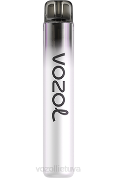 VOZOL NEON 800 mentolis 6LP4250 VOZOL Vape Review