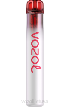 VOZOL NEON 800 rožinės spalvos vynuogių vaisiai 6LP4277 VOZOL Vape Flavours