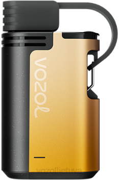 VOZOL GEAR 4000c/6000 mango pasifloros vaisius 6LP4327 VOZOL Vape Flavours