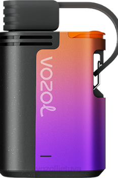 VOZOL GEAR 4000c/6000 miško uogų audra 6LP4324 VOZOL Vape Price