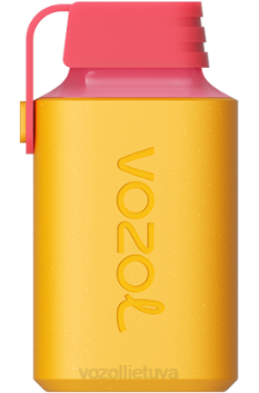 VOZOL GEAR 600 vyšnių persikų citrina 6LP4347 VOZOL Vape Flavours