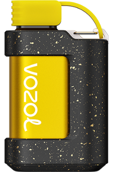 VOZOL GEAR 7000 persikų ledas 6LP4337 VOZOL Vape Flavours