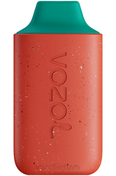 VOZOL STAR 6000 ličių gvajavos arbūzas 6LP4117 VOZOL Vape Flavours