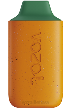 VOZOL STAR 6000 mango persikų arbūzas 6LP4120 VOZOL Vape Review