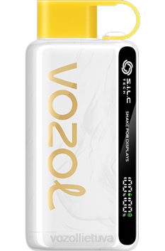 VOZOL STAR 9000/12000 kivi pasifloros gvajava 6LP425 VOZOL Vape Kaina