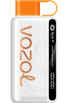 VOZOL STAR 9000/12000 persikų mango arbūzas 6LP428 VOZOL Vape Website