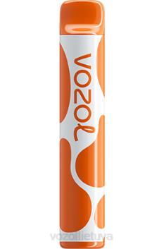 VOZOL JOYGO 600 kavos 6LP4379 VOZOL Vape Sale