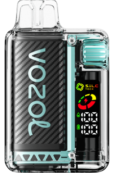 VOZOL VISTA 16000/20000 Majamio mėtų 6LP49 VOZOL Vape Sale