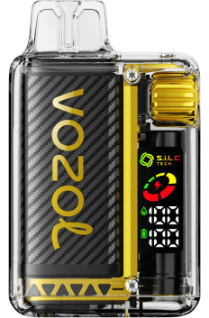 VOZOL VISTA 16000/20000 mangų ledas 6LP48 VOZOL Vape Website