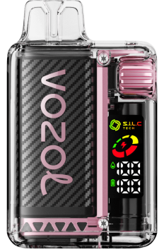 VOZOL VISTA 16000/20000 persikų mango arbūzas 6LP412 VOZOL Vape Lietuva