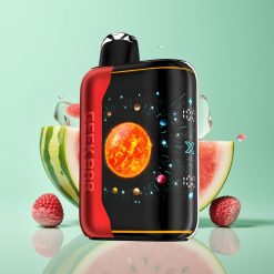 GEEK BAR Platinum Edition 25000 Puffs USB-Type C arbūsu ledas