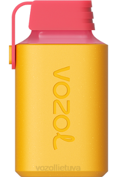 VOZOL GEAR 600 citrininis laimas 6LP4363 VOZOL Vilnius