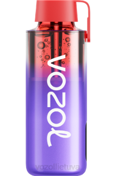 VOZOL NEON 10 000 gervuogių ledų 6LP4242 VOZOL Vape Lietuva